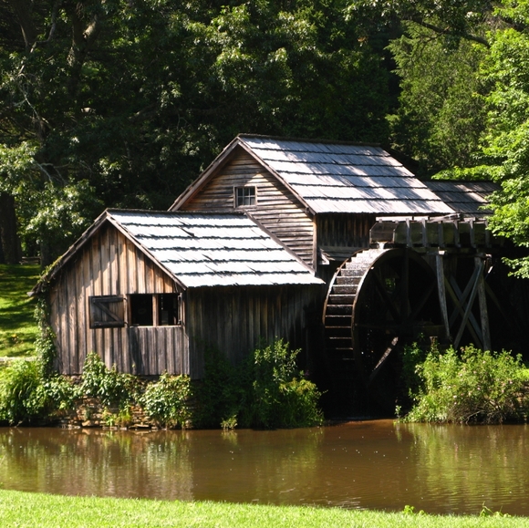 Joy - Picture 2 of 8